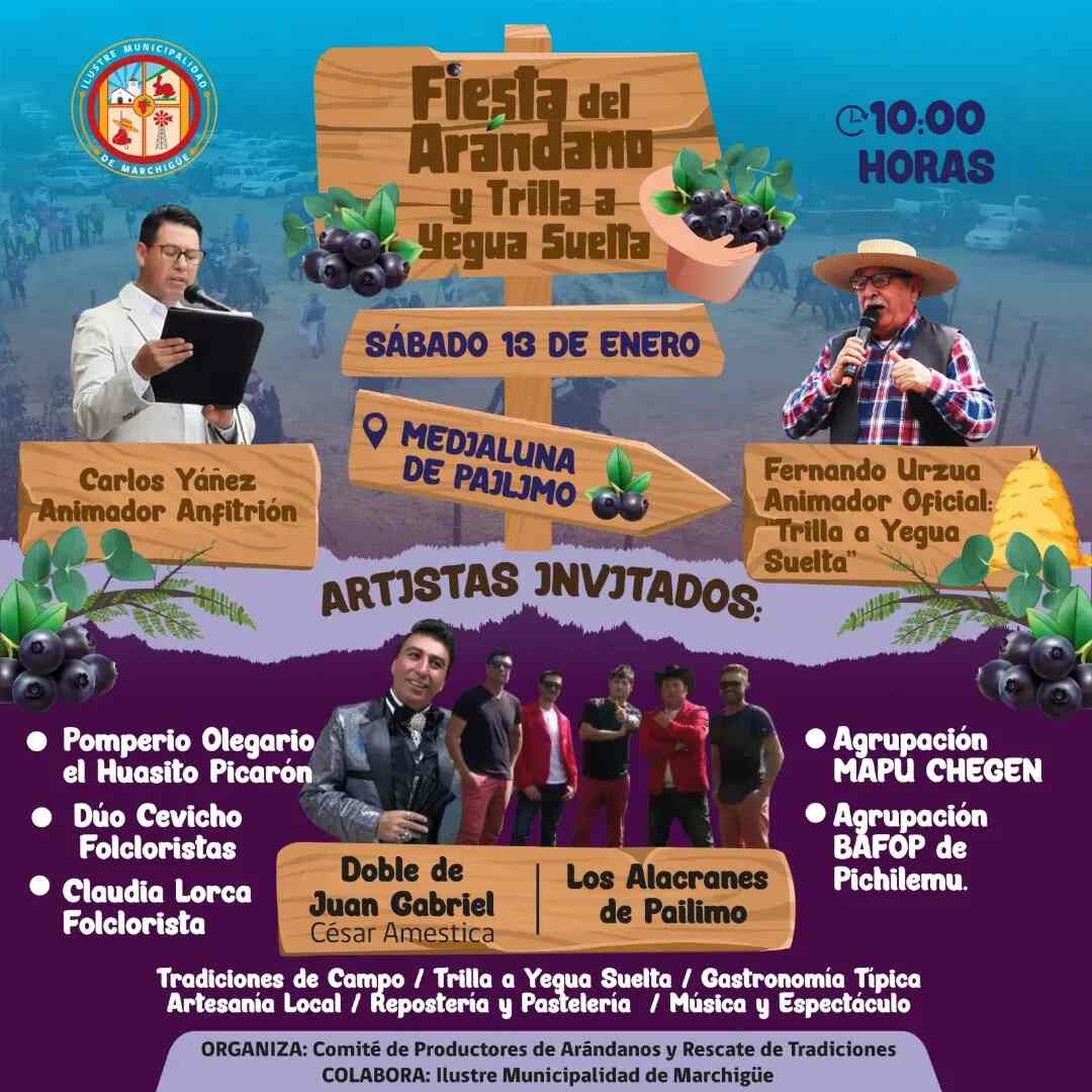 Fiesta del Arándano